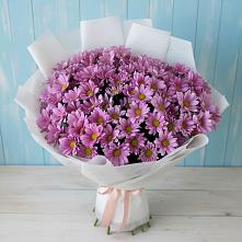 Букет цветов из:  Хризантемы в Марфино Одинцовского района